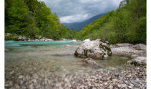 Truite fumée de Rhône-Alpes - pisciculture